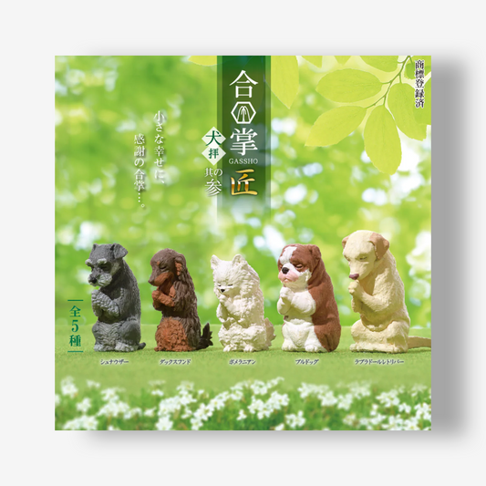 Wishing Dogs Blind Boxes